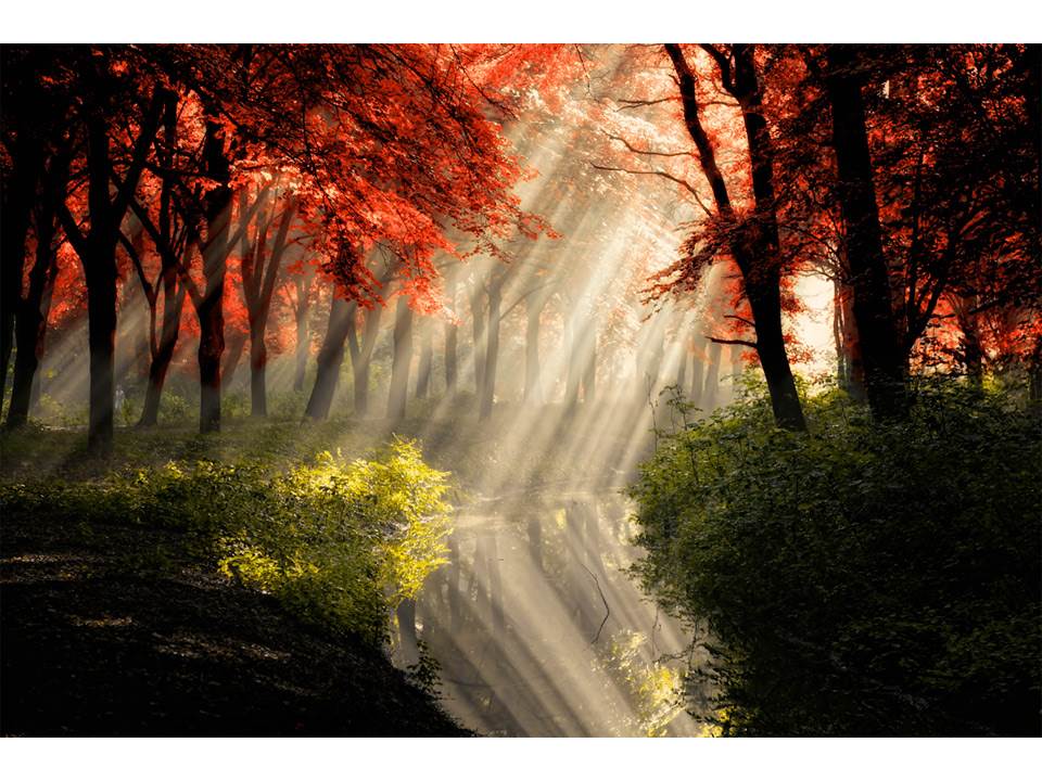 料金設定 料金設定